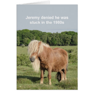 Carte de poney de Shetland