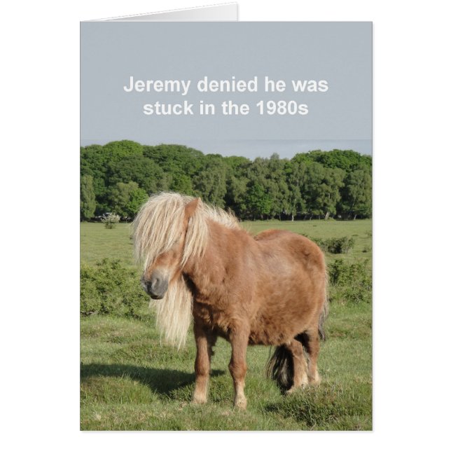 Carte de poney Shetland (Devant)