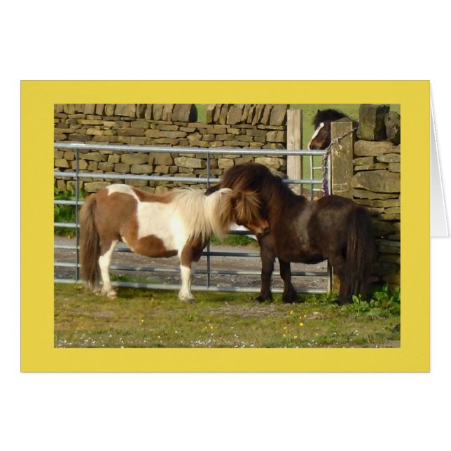 Carte de poneys de Shetland (Devant horizontal)