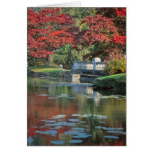 Carte de pont en pierre