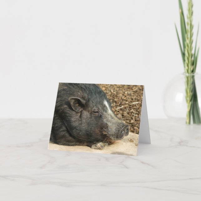 Carte de porc à ventre nappé (Devant)