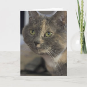 Carte de portrait de chat