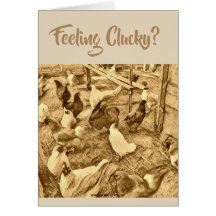CARTE DE POULETS DE CLUCKY