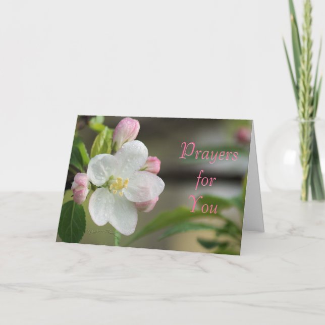 Carte de prière de pommier en fleurs - ou pour tou (Devant)