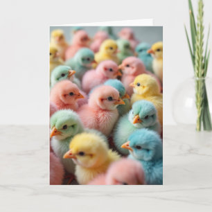 Carte de printemps aux oiseaux pastel
