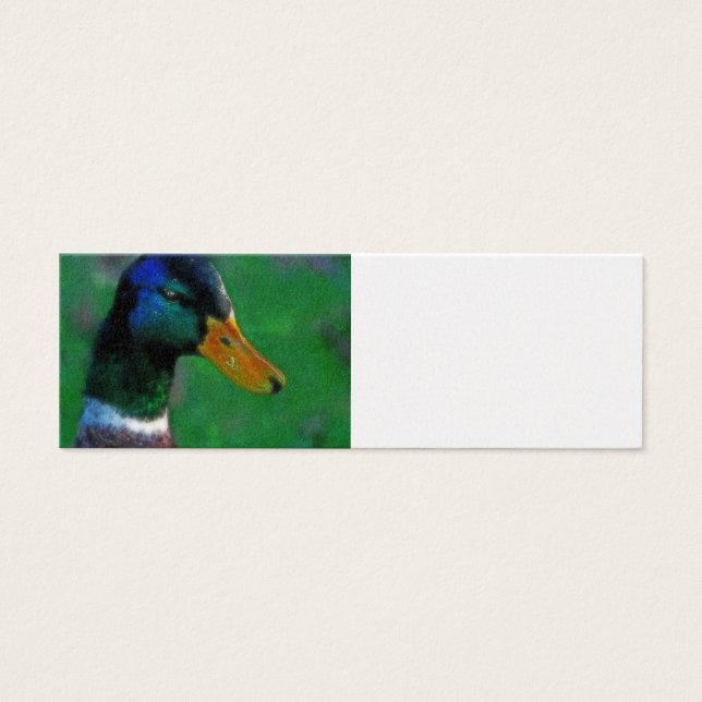 Carte de profil Mallard (Devant)