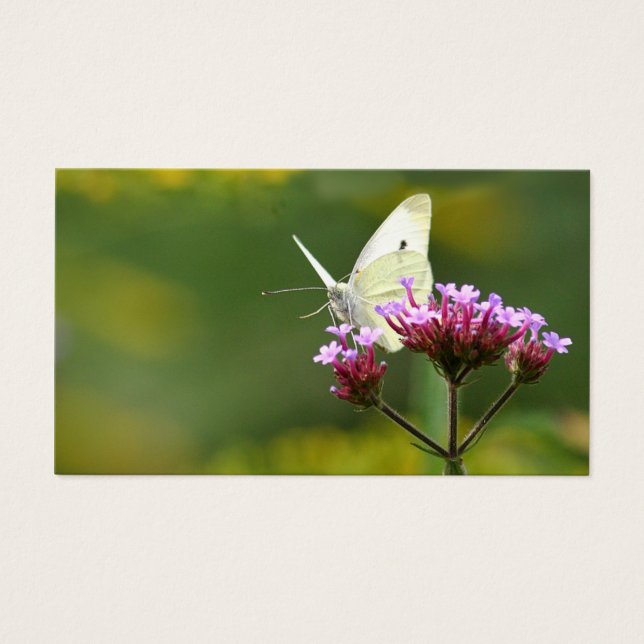 Carte de profil papillon (Devant)