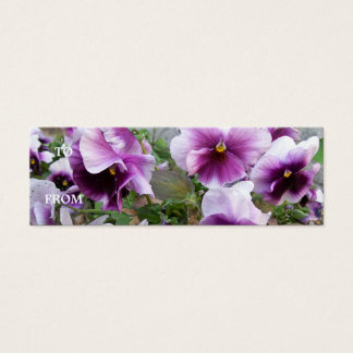 Carte de profil Purple Pansy