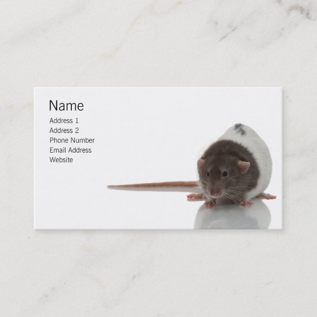 Carte de profil Rat pour animaux (Devant)