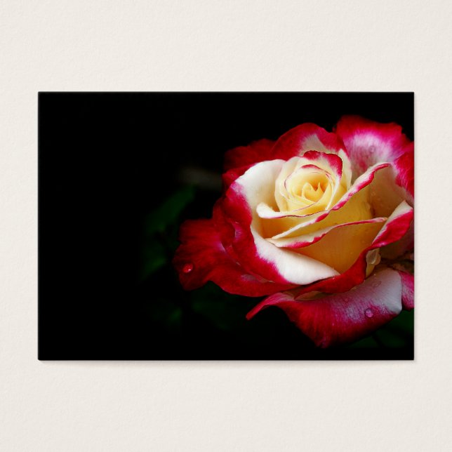Carte de profil rose (Devant)