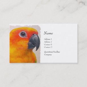 Carte de profil - Sun Conure
