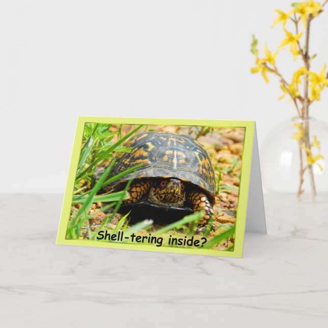 Carte de protection à l'intérieur de la tortue (Fleur jaune)