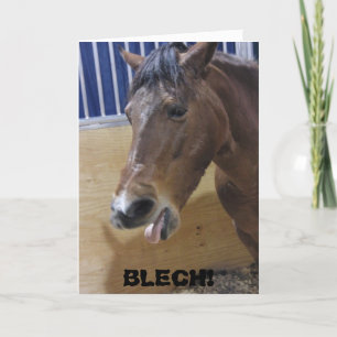 Carte de puits : Cheval BLECH !