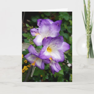 Carte de Purple Freesia Flowers