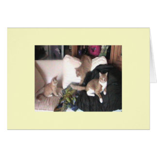Carte de Purrtrait de famille