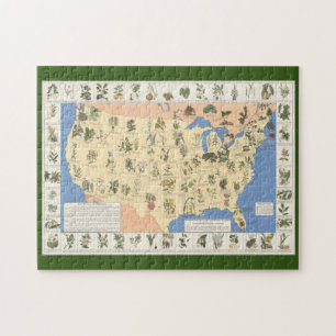 Carte de puzzle de fines herbes de remèdes