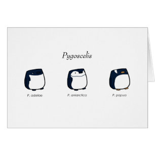Carte de Pygoscelis