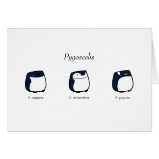 Carte de Pygoscelis