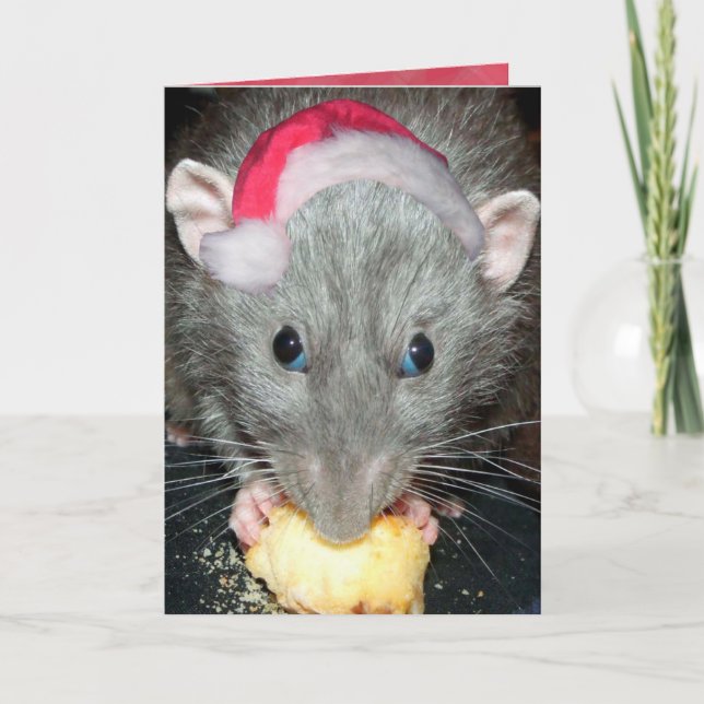 Carte de rat Dumbo père Noël (Devant)