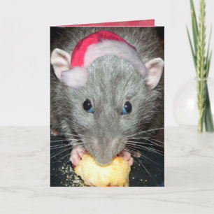 Carte de rat Dumbo père Noël