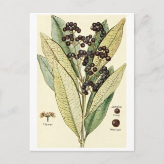Carte de recette au poivre vintage