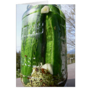 Carte de recette de pickle à l'aneth