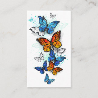 Carte De Réduction Papillons volants Morpho et Monarch
