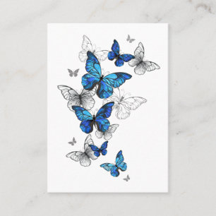 Carte De Référencement Papillons volants bleus Morpho