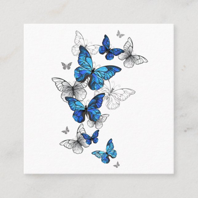 Carte De Référencement Papillons volants bleus Morpho (Devant)