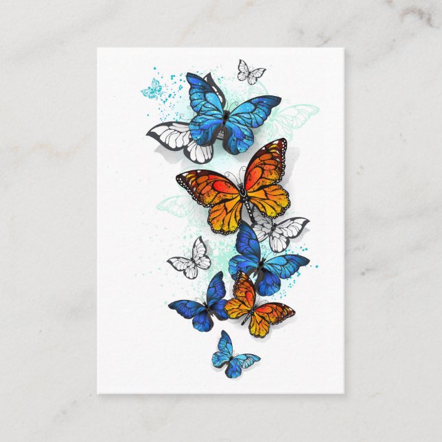 Carte De Référencement Papillons volants Morpho et Monarch (Devant)