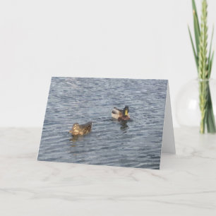 CARTE DE REMARQUE : Lac Harriet, "Canards"_ Carte