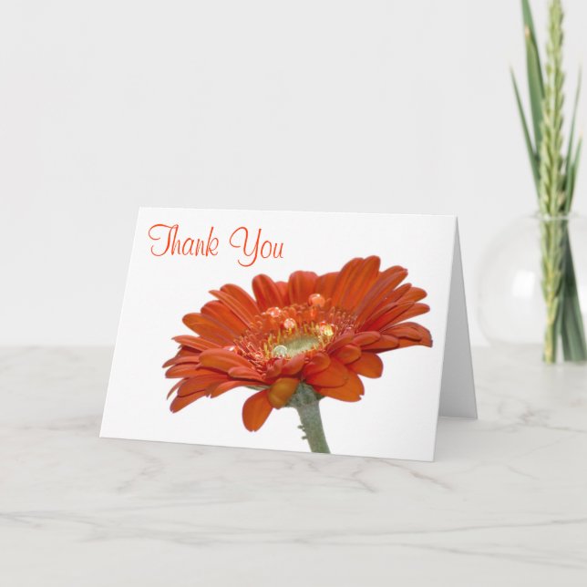 Carte de remerciement de mariage - Gerbera Daisy o (Devant)
