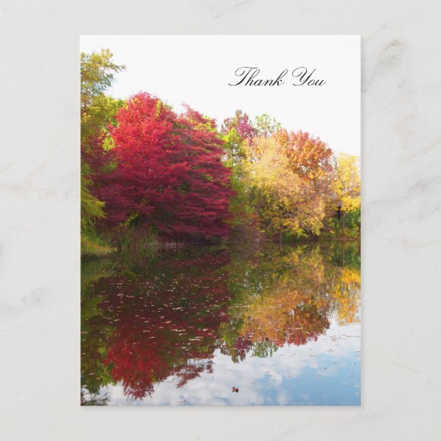 Carte de remerciement de sympathie Automne Beauté (Devant)