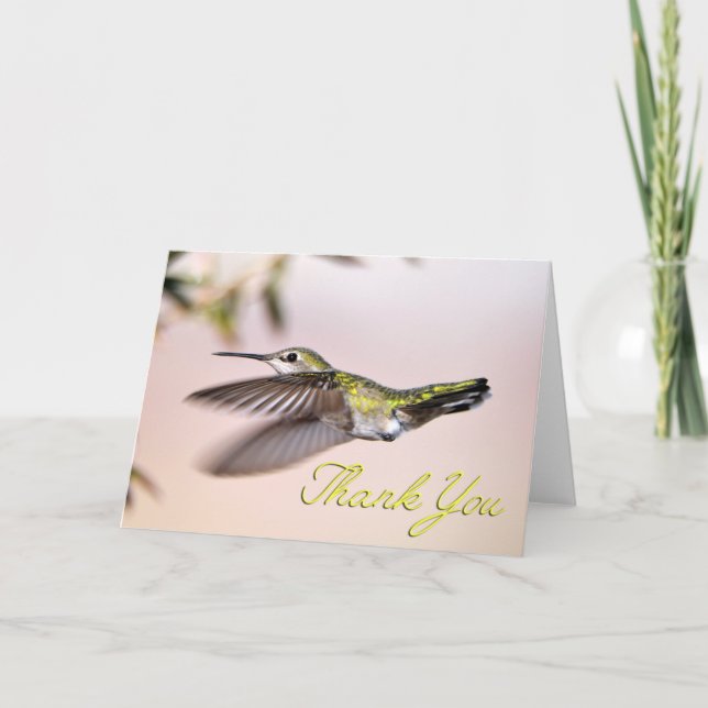Carte de remerciement de vol Photo Hummingbird (Devant)
