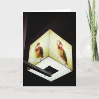 Carte de remerciement "Parrot Cash Register Light"