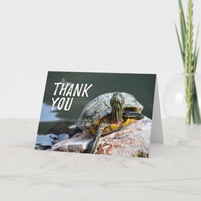 Carte de remerciement photo de tortue adorable (Devant)