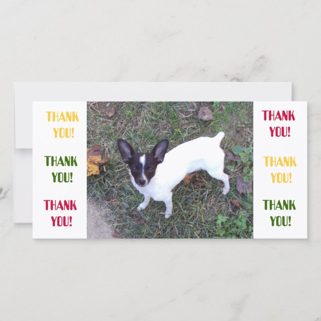 Carte de remerciements (Devant)