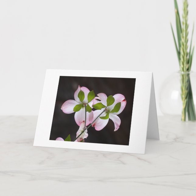 CARTE DE REMERCIEMENTS (Devant)