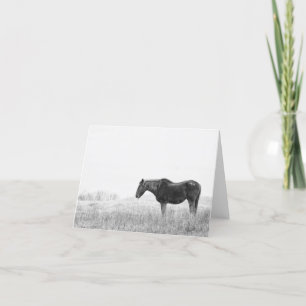 Carte De Remerciements #1866 Mustang sauvage