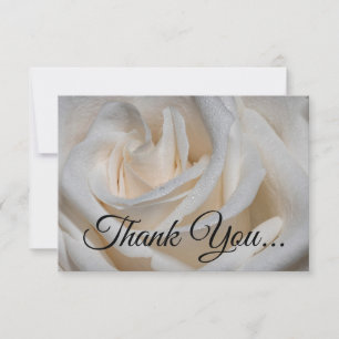 Carte De Remerciements 7127-Rose blanche à mâchoire