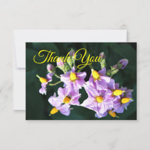 Carte de remerciements à fleurs de pomme de terre 