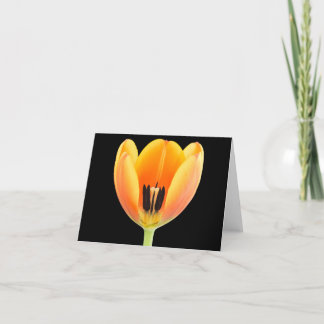 Carte De Remerciements À l'intérieur d'un tulipe orange