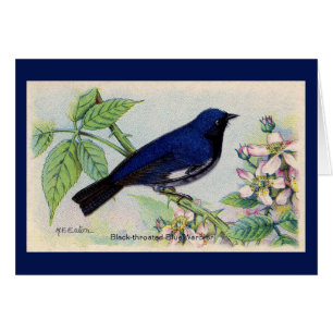 Carte de remerciements à ornithologie noire