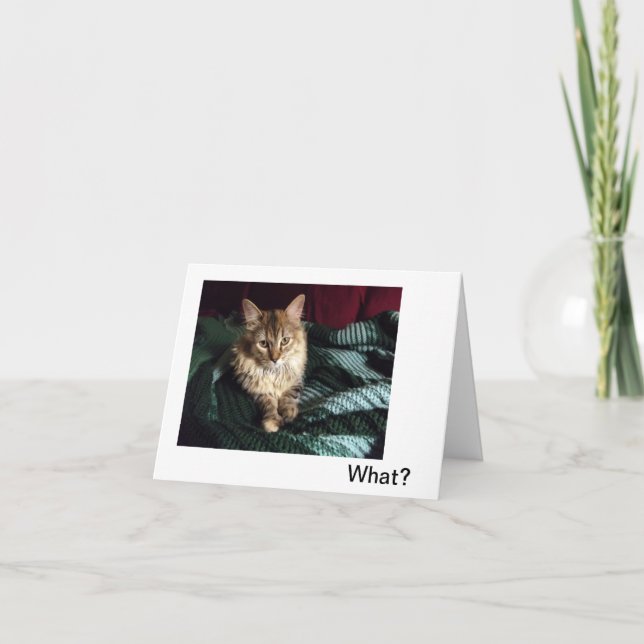 Carte De Remerciements Accueil (Devant)