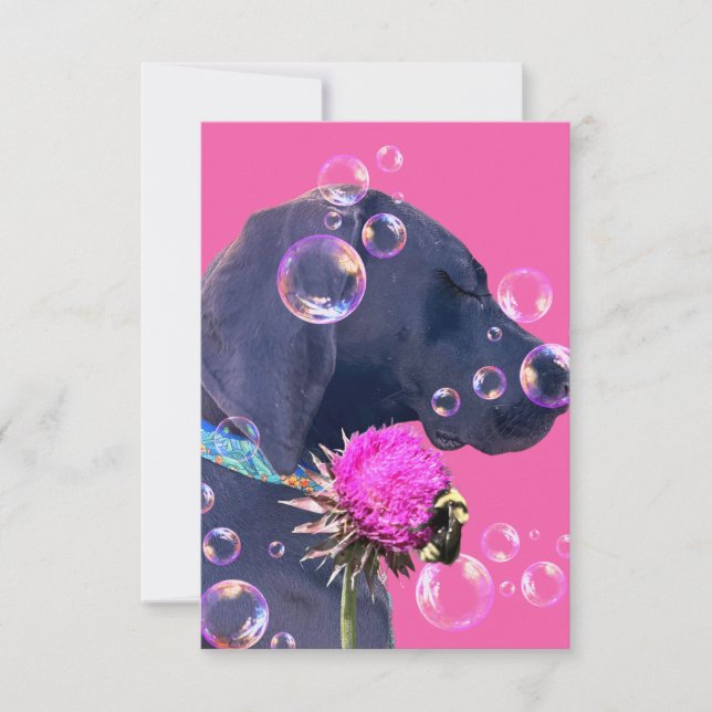Carte De Remerciements Adoption de chien magnifique (Devant)