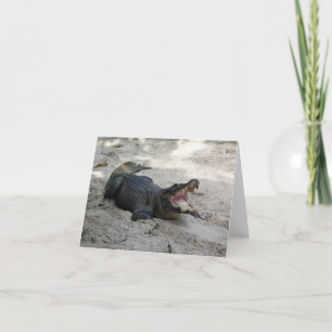 Carte De Remerciements Alligator, Fort Lauderdale, Floride