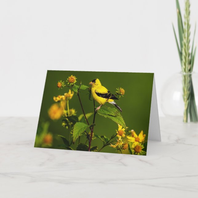 Carte De Remerciements Américain Goldfinch (Devant)