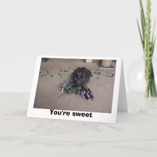 Carte De Remerciements Ami doux