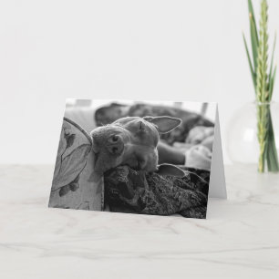 Carte De Remerciements Amour de Pitbull