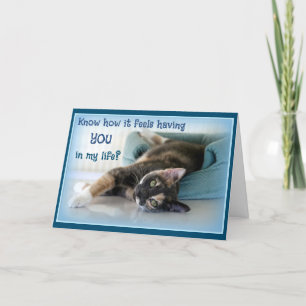 Carte De Remerciements Amoureux des chats Valentine Valentine's Day Card